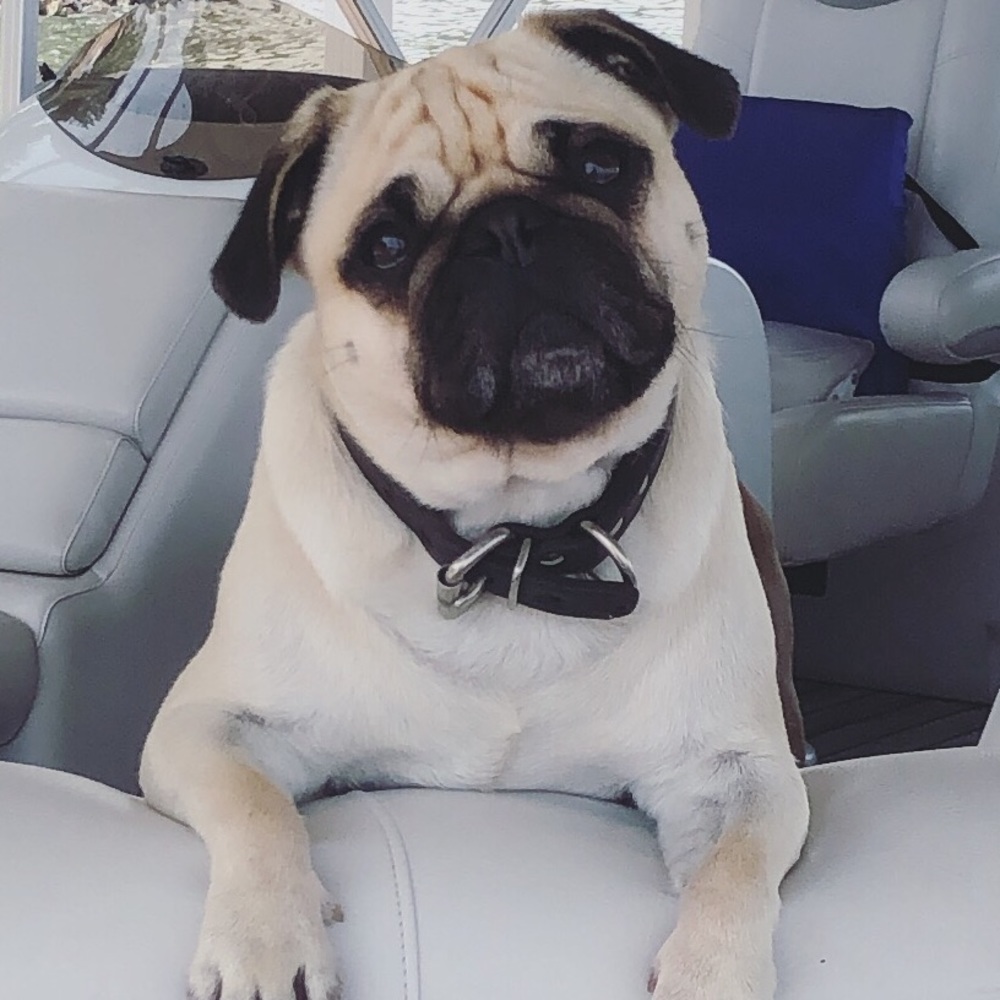 Meet your Posher, Sydney